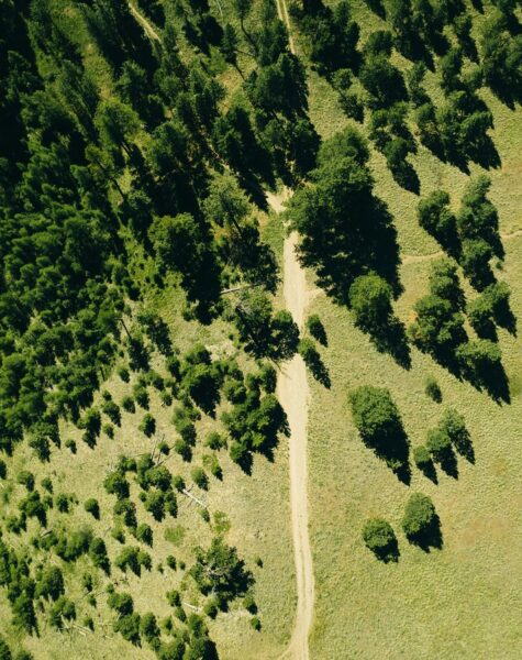 yohan-marion-8iPIe1XOHVE-unsplash-2