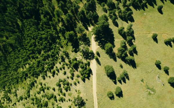 yohan-marion-8iPIe1XOHVE-unsplash-2