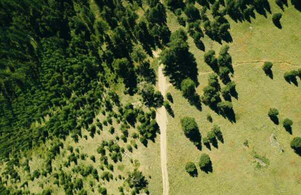 yohan-marion-8iPIe1XOHVE-unsplash-2 yohan-marion-8iPIe1XOHVE-unsplash-2