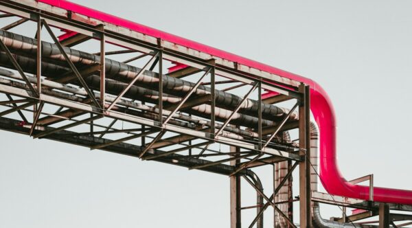 martin-adams-a_PDPUPuNZ8-unsplash-2