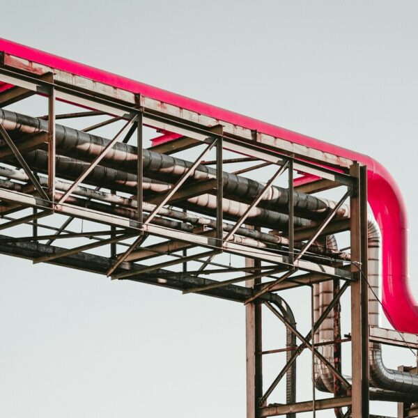 martin-adams-a_PDPUPuNZ8-unsplash-2