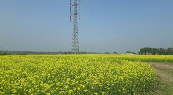 md-abu-sayeed-SjPwGvN4H9Y-unsplash-2