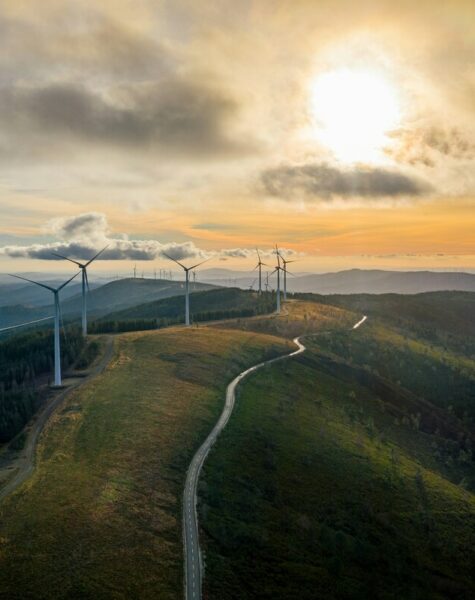 nuno-marques-Az0Ed9t8hpk-unsplash-2